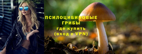 мдпв Красноперекопск