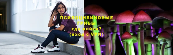 мдпв Красноперекопск