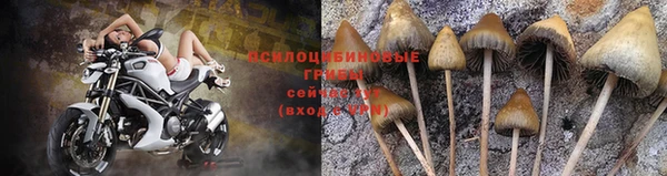 мдма Краснослободск